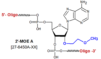 picture of 2'-O-methoxy-ethyl Adenosine-(2'-MOE rA)